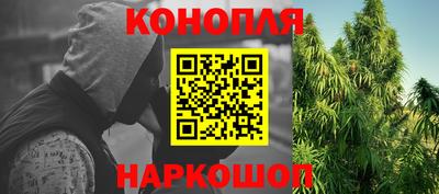 Альфа ПВП Донской