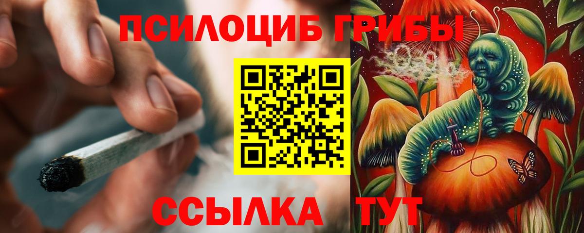 Малгобек  Галлюциногенные грибы MAGIC MUSHROOMS  наркота  Галлюциногенные грибы мухоморы  Вход с VPN 